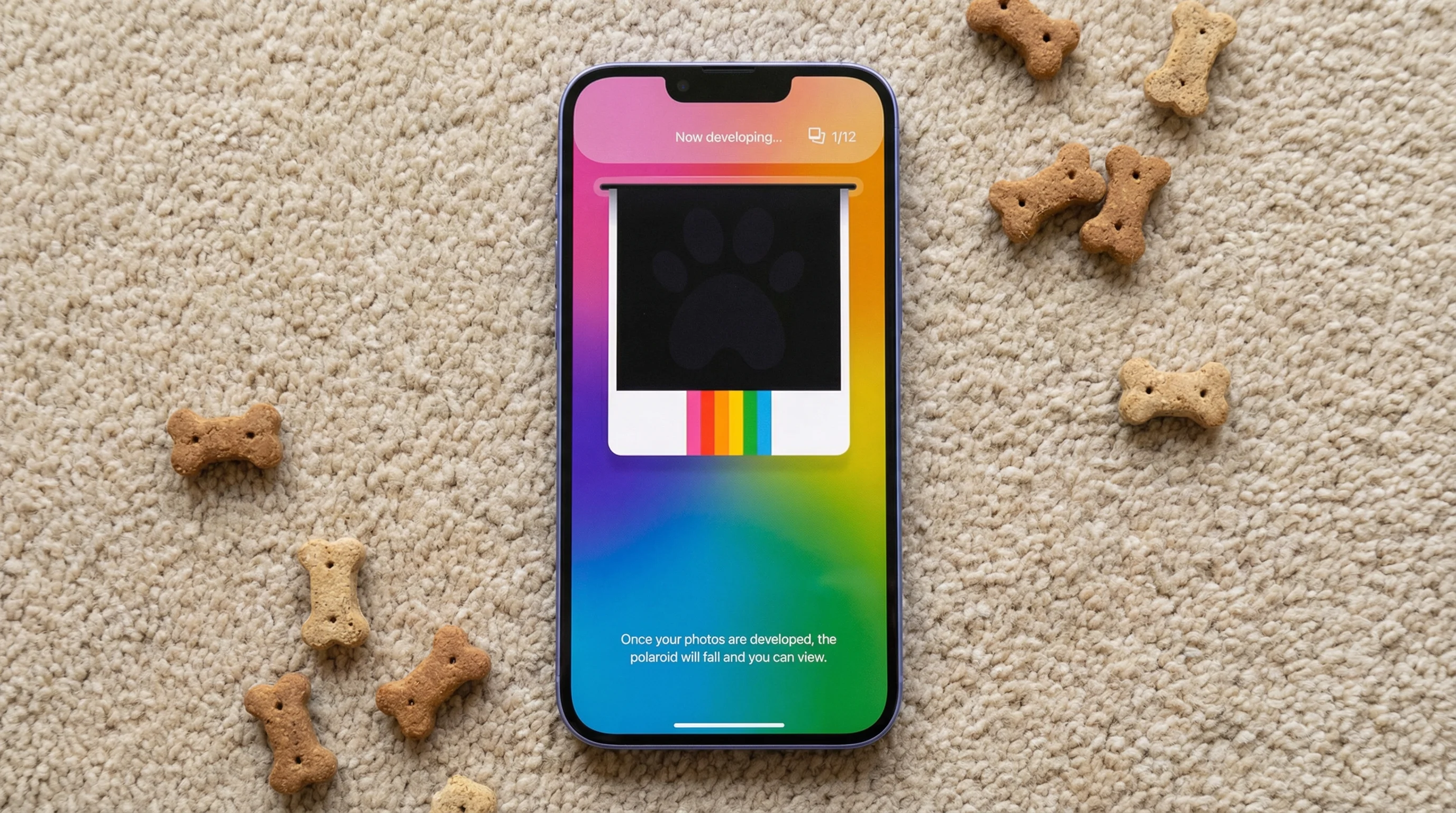 Pawtraits Polaroid loading concept